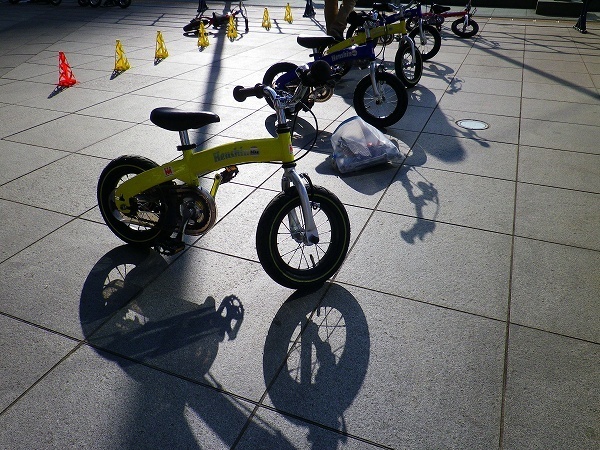 RZ180217002.jpg