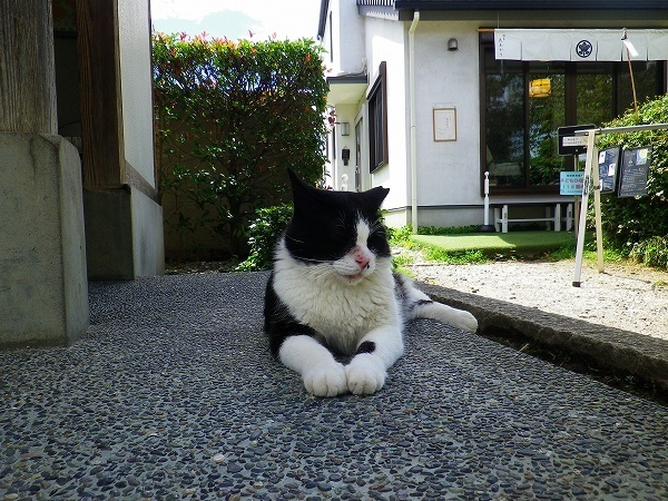 RZ180908003.jpg