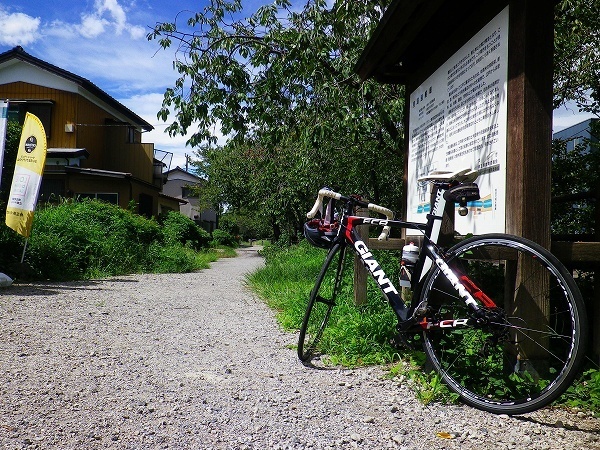 RZ180908004.jpg