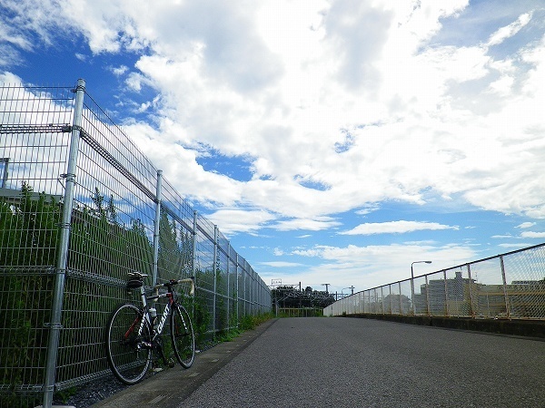 RZ180908007.jpg