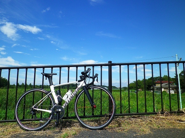 RZ180909001.jpg
