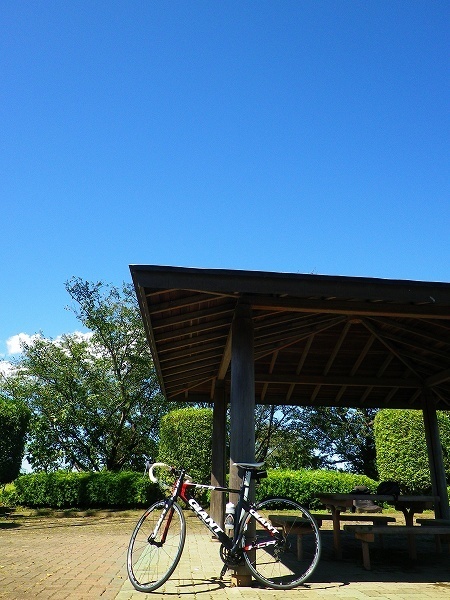 RZ181001001.jpg