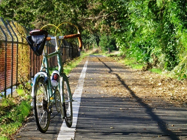 RZ181006008.jpg