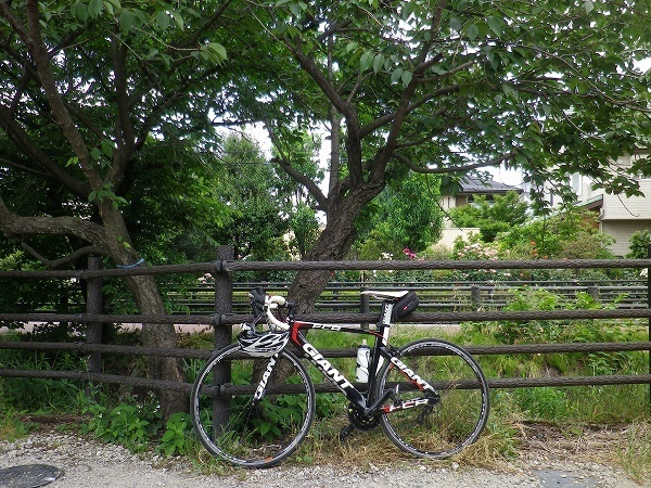 RZ190601002.jpg