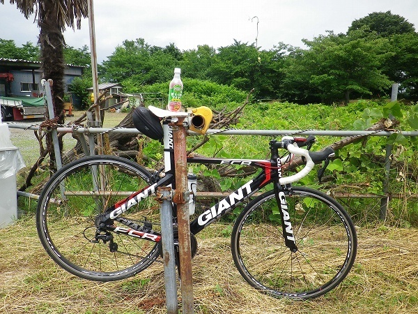 RZ190608002.jpg