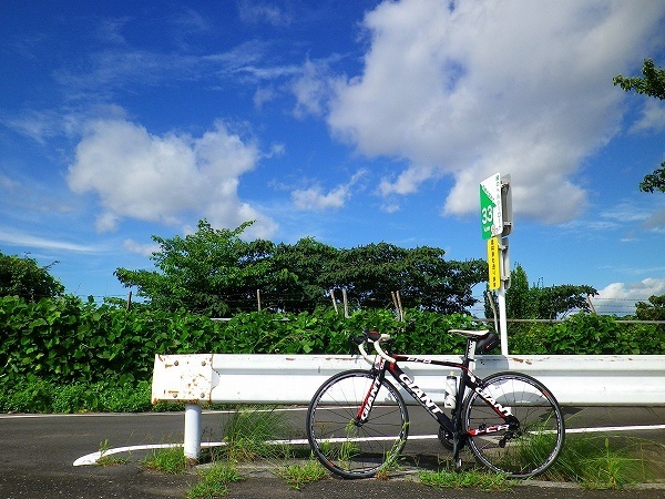 RZ190727002.jpg