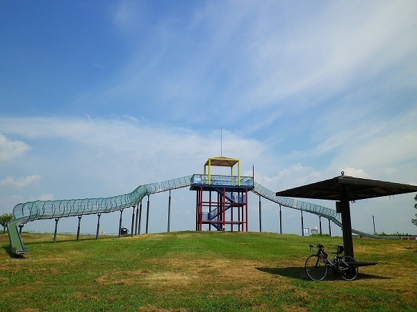 RZ190810012.jpg