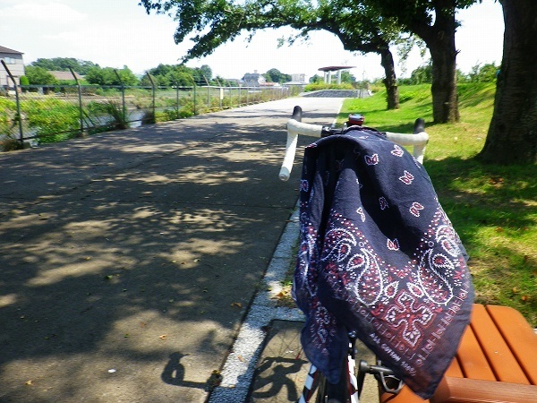 RZ190810014.jpg