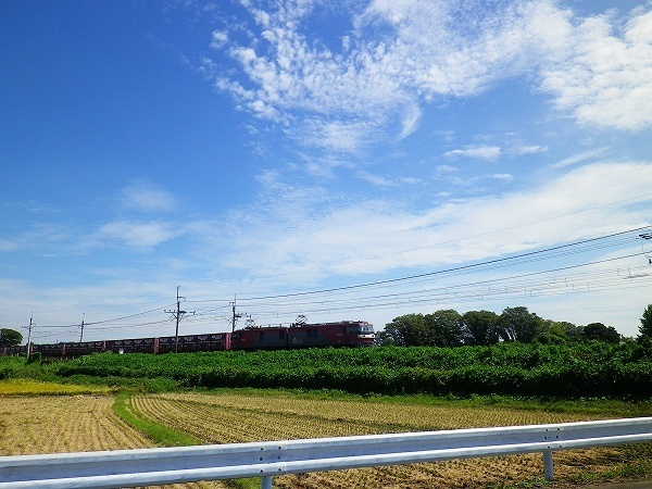 RZ190922044.jpg