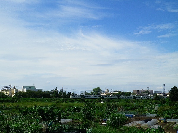RZ190922074.jpg