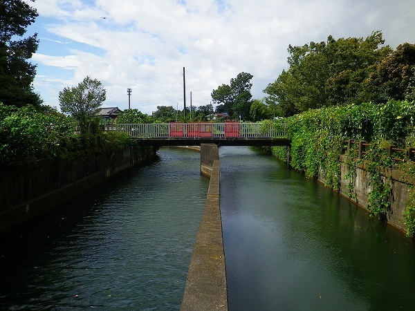 RZ190923026.jpg