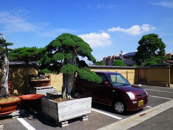 RZ190928004.jpg