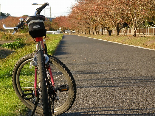 SP550_20121118_015.jpg