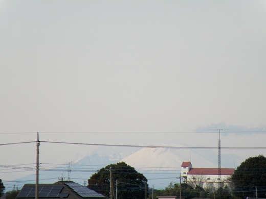 SP570_20130106_010.jpg